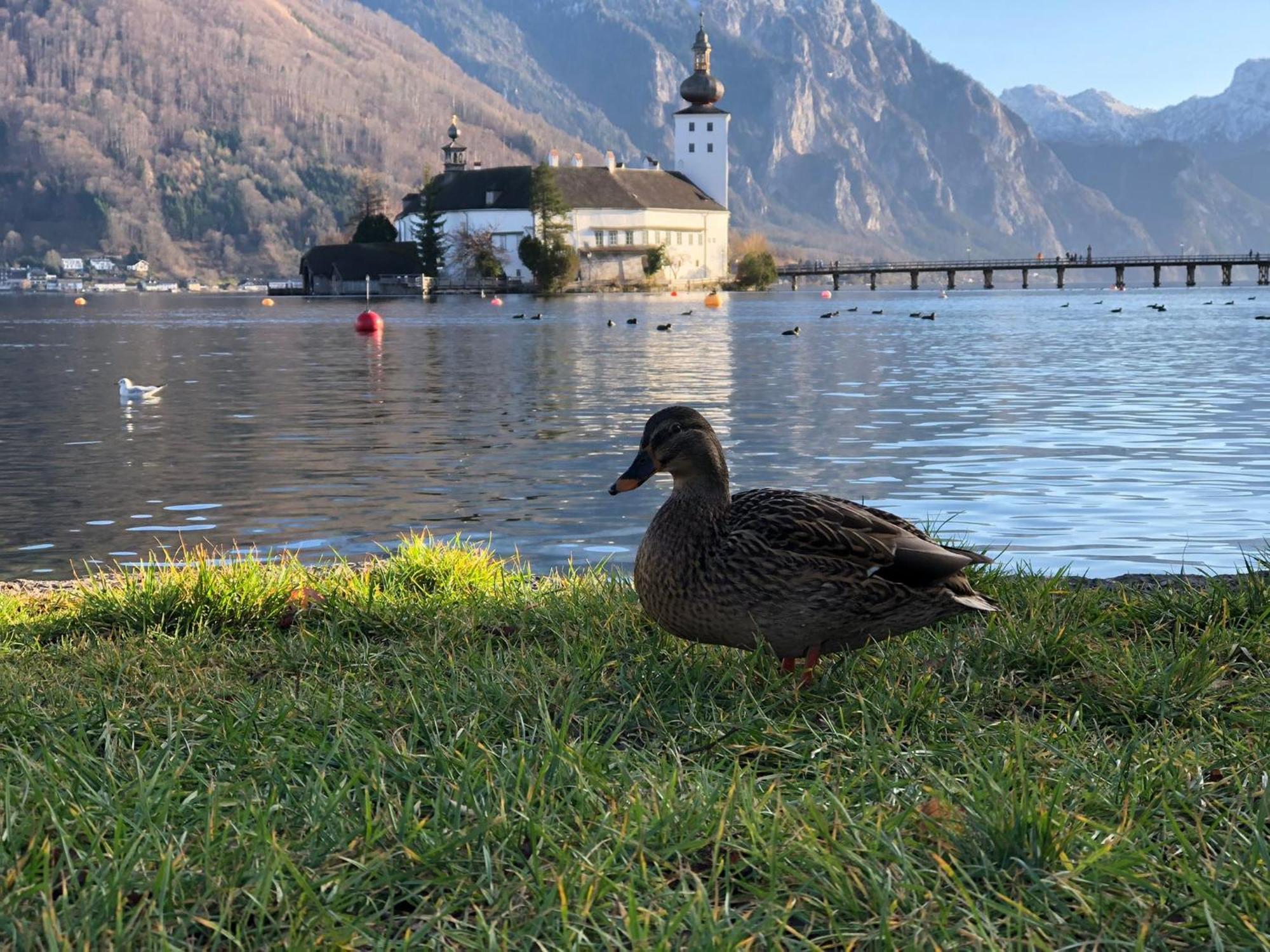 Seepanorama An Der Esplanade 1 Gmunden Εξωτερικό φωτογραφία
