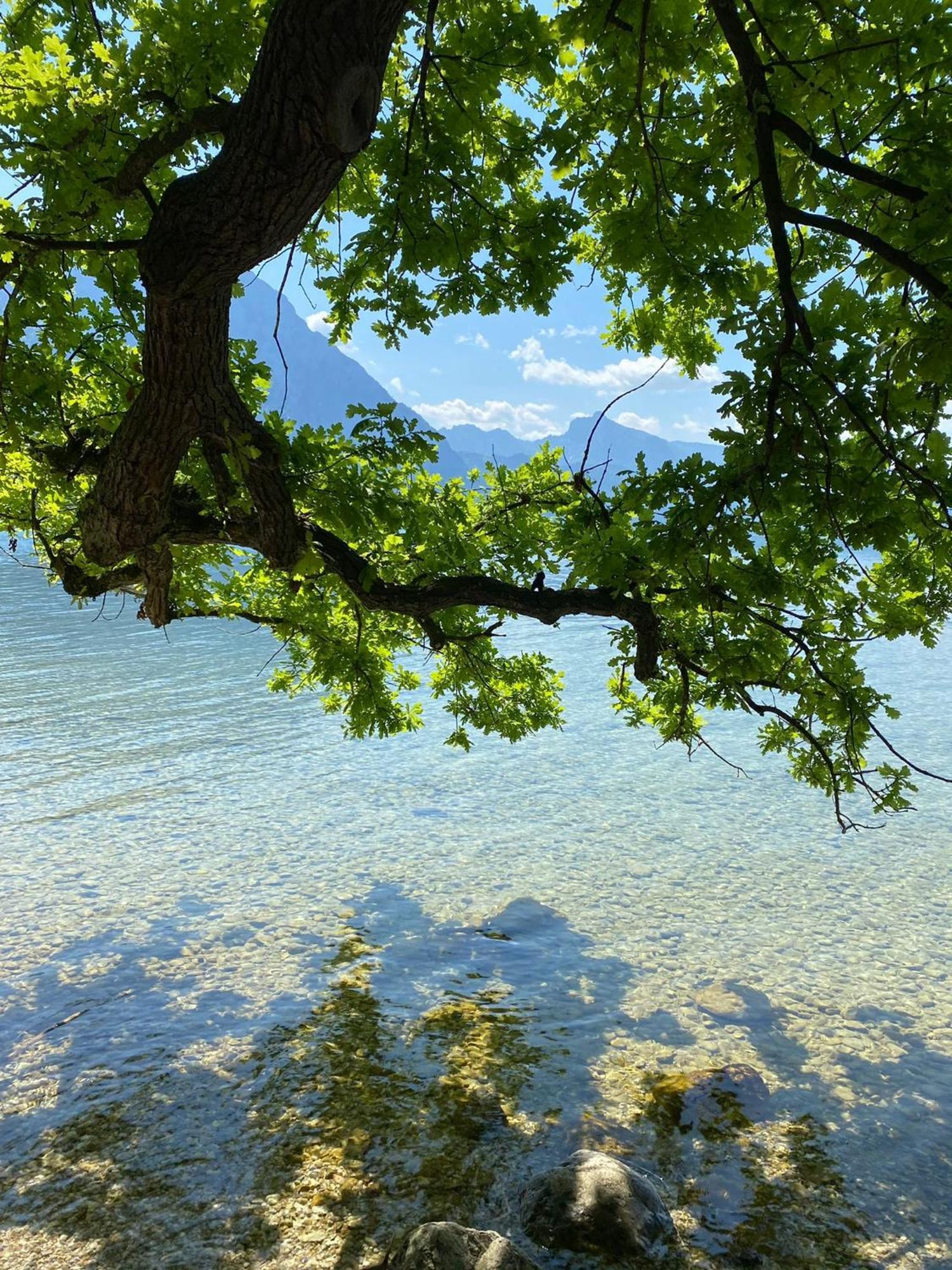 Seepanorama An Der Esplanade 1 Gmunden Εξωτερικό φωτογραφία